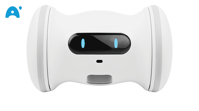 varram pet robot